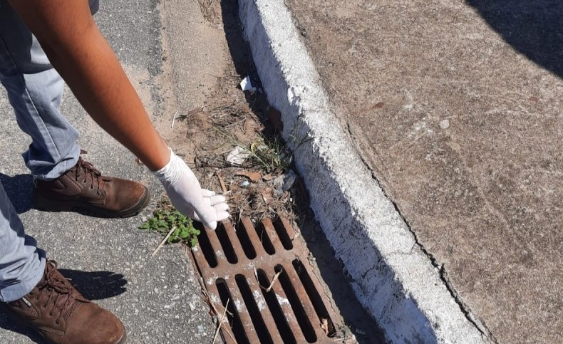 Mutirão de combate ao Aedes aegypti começa nesta sexta-feira