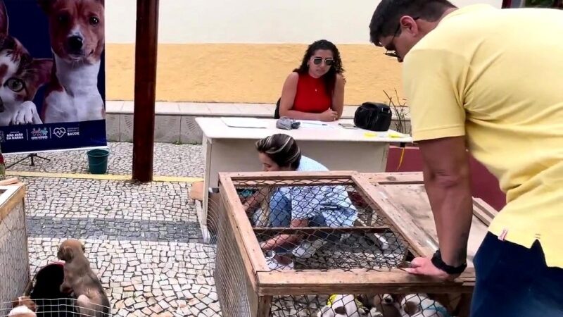 NCZ promove feira de adoção de animais nesta quinta em SJB