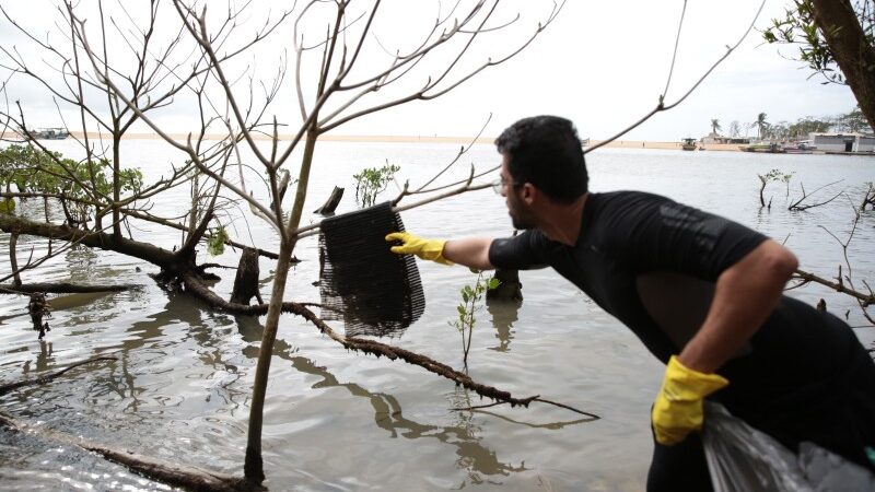 Dia do Manguezal com ação de limpeza na APA da Cehab