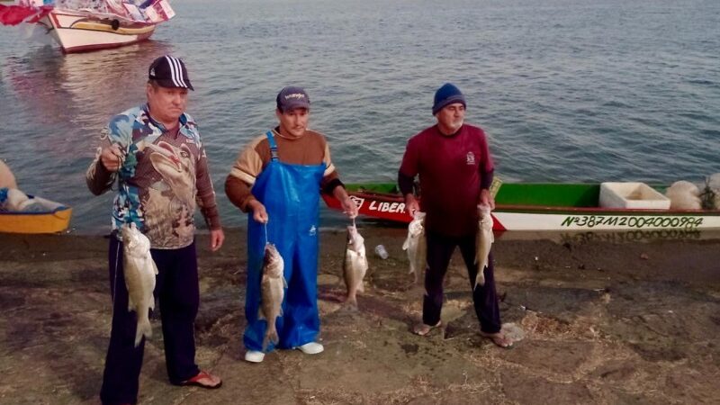 Prova do Maior Robalo Vivo realizada no Circuito Junino