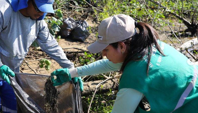 Dia Mundial de Proteção aos Manguezais