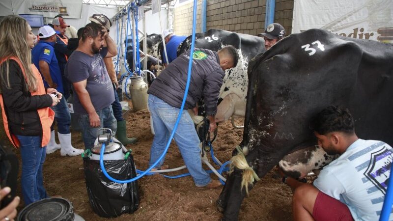 Concurso Leiteiro iniciado na ExpoBarra