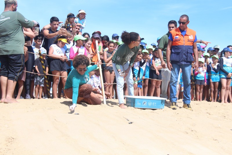 Caminhada de filhotes de tartarugas ao mar reúne centenas de pessoas em Grussaí