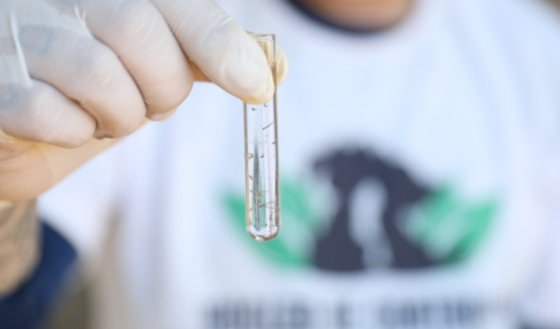 NCZ de SJB realiza mutirão no cemitério de Roças Velhas nesta quarta