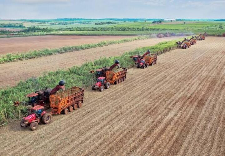 Brasil terá segunda maior safra de cana, segundo estimativa da Conab