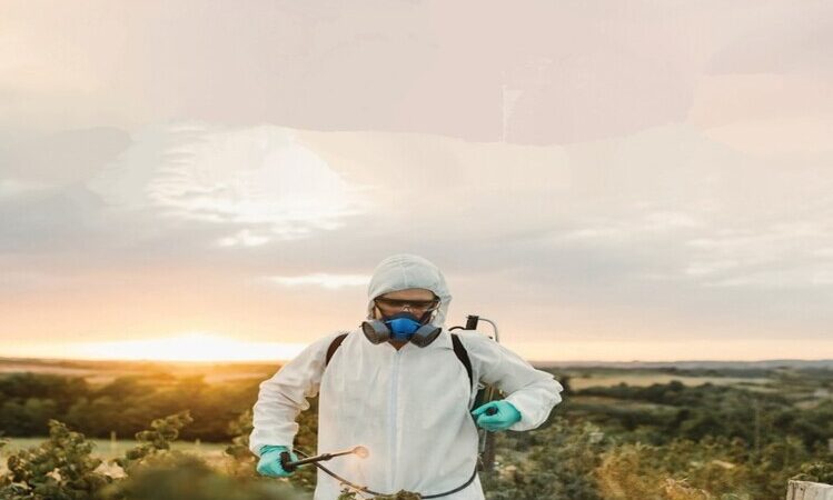 Pesquisadores do IFF e UENF lançam obra sobre o uso de agrotóxicos