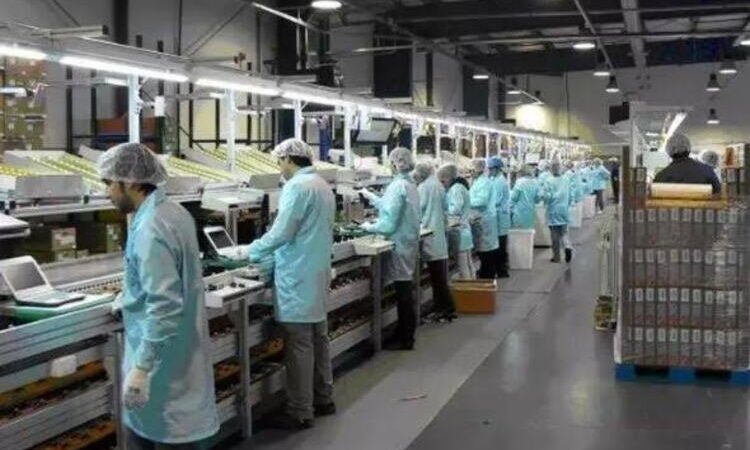 Norte Fluminense gera mais de 1.600 empregos em abril