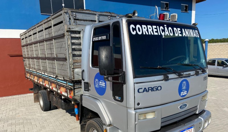 Serviço de Correição já apreendeu mais de 150 animais em SJB neste ano