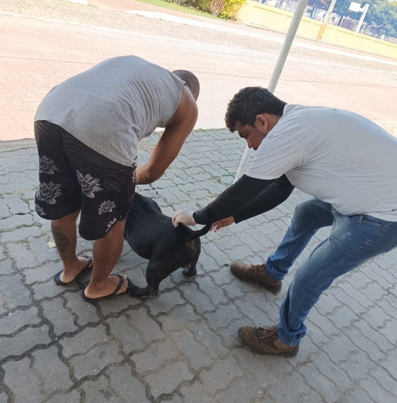 SJB inicia vacinação antirrábica animal itinerante na próxima terça