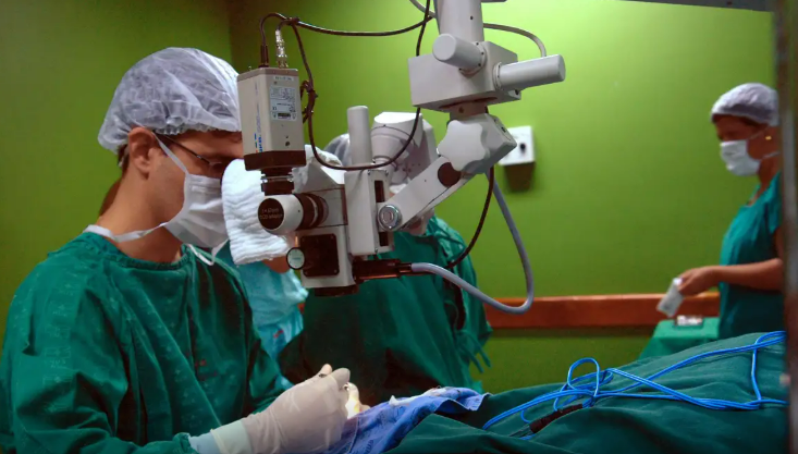 Câncer de intestino que vitimou Preta Gil é o 3º mais comum no país