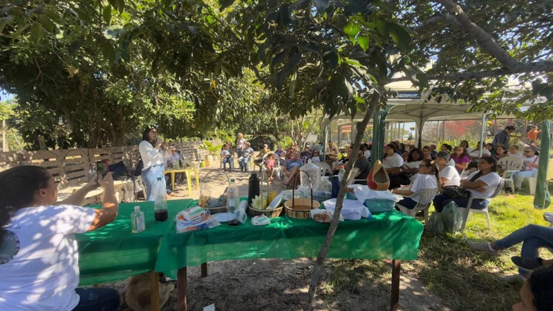 Artesãos participam de oficina de ervas medicinais