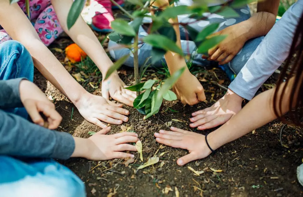 Lula sanciona lei do licenciamento ambiental com 63 vetos
