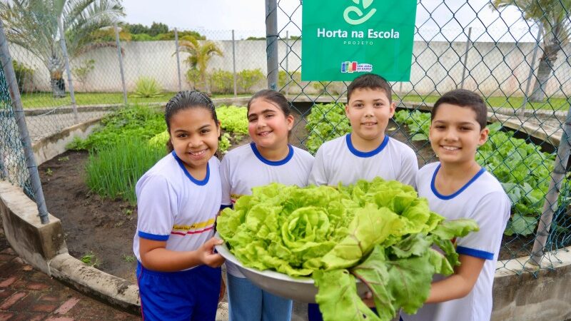 Projeto incentiva o cultivo de hortas em escolas de SJB