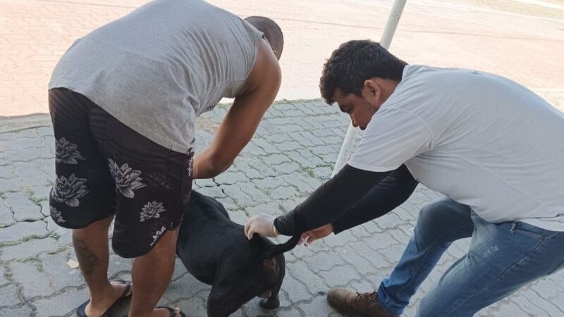 Últimos dias da Campanha de Vacinação Antirrábica Itinerante em São João da Barra