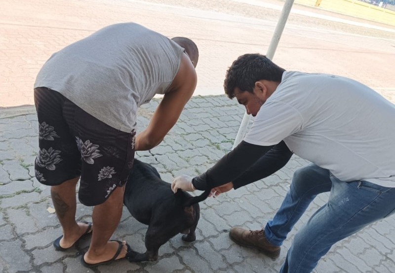 Últimos dias da Campanha de Vacinação Antirrábica Itinerante em São João da Barra