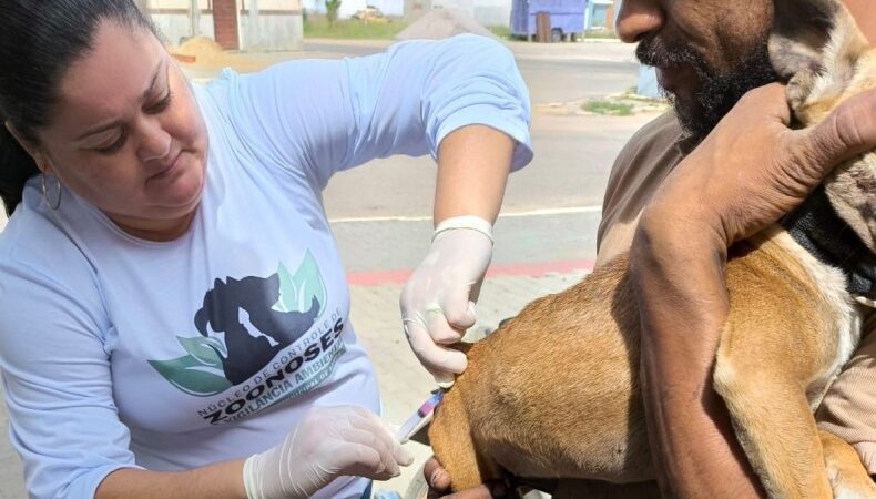 Dia D de Vacinação Antirrábica Animal com postos já definidos em SJB