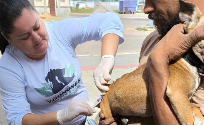 Dia D de Vacinação Antirrábica Animal com postos já definidos em SJB