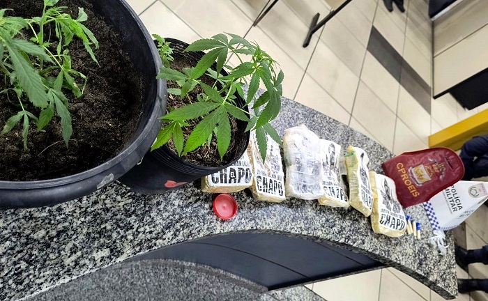 Polícia Militar apreende 20 quilos de drogas em operação no distrito de São João da Barra