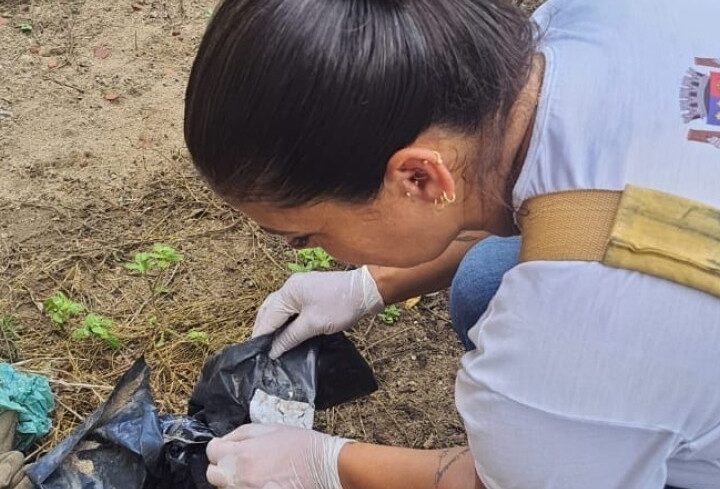 NCZ de SJB programa ações de prevenção à Dengue