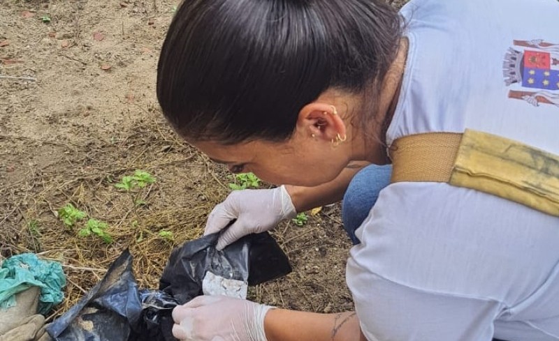 NCZ de SJB programa ações de prevenção à Dengue