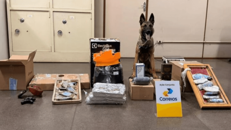 Operação intercepta quase 10 kg de drogas enviadas pelos Correios e um dos destinos era São João da Barra