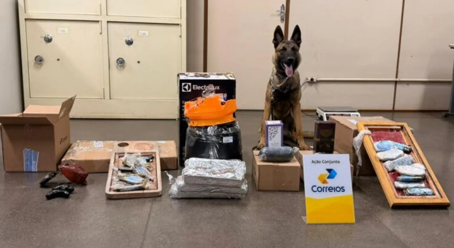 Operação intercepta quase 10 kg de drogas enviadas pelos Correios e um dos destinos era São João da Barra