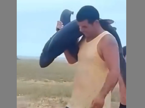 Um resgate inesperado na orla de Grussaí