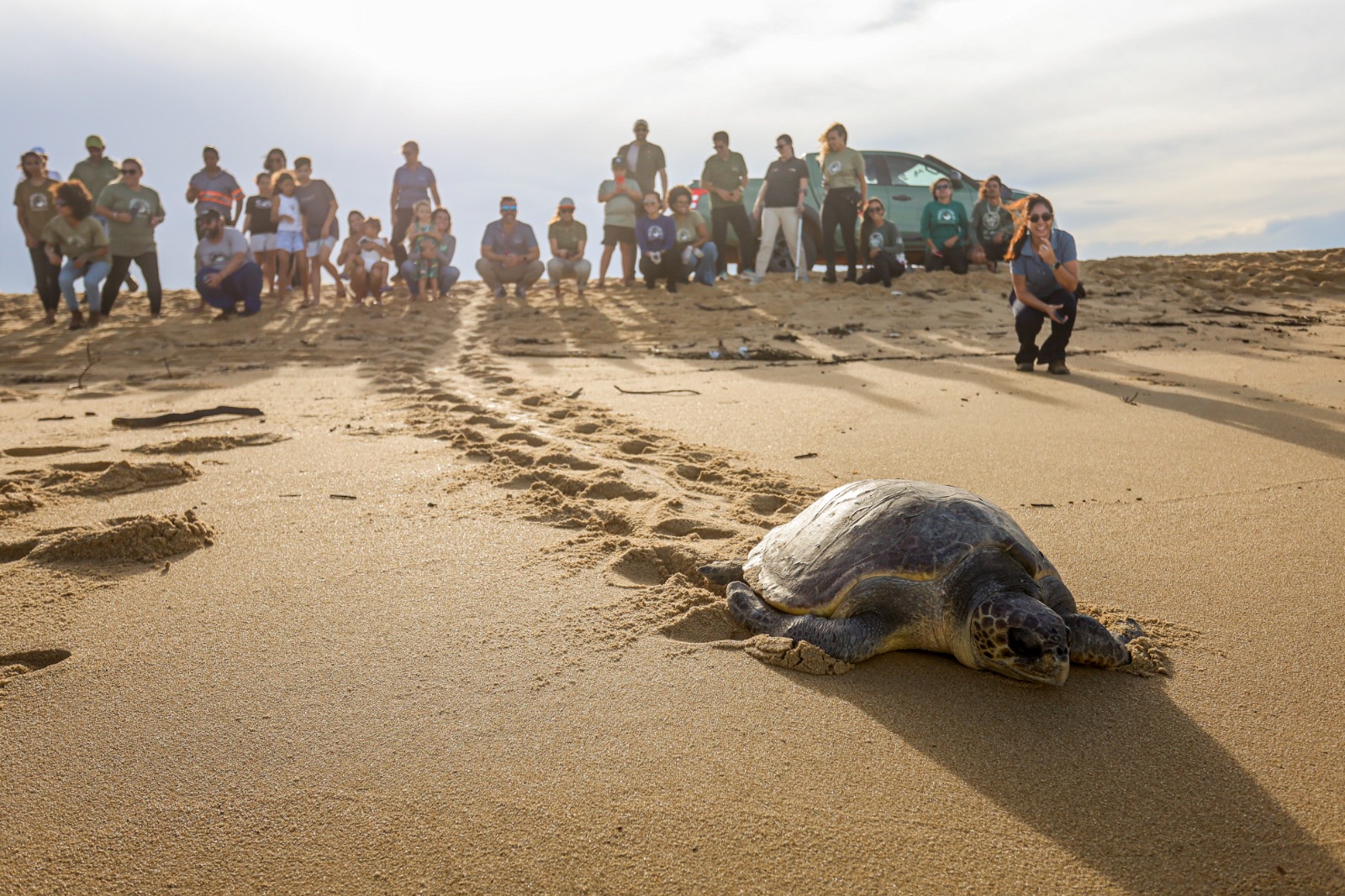 Tartaruga marinha recuperada retorna ao mar em SJB