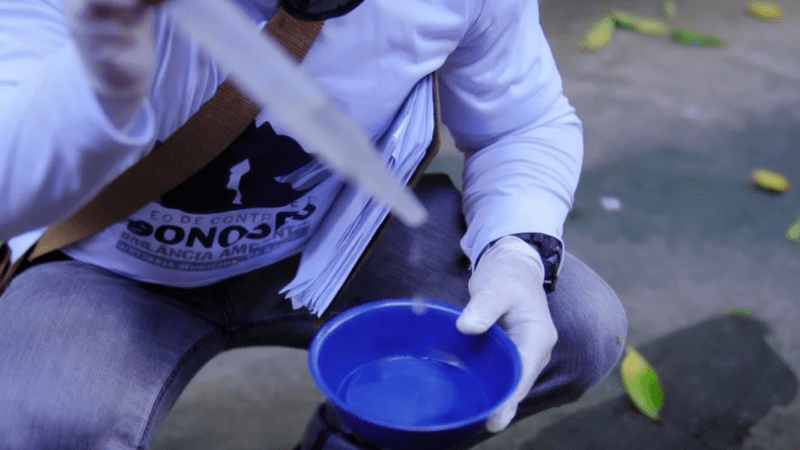 Segundo mutirão de verão de SJB contra a dengue nesta sexta