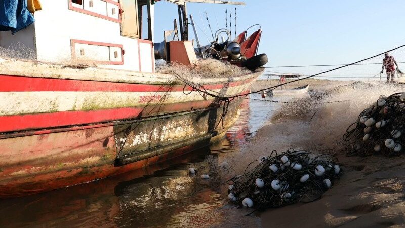 Defeso do camarão no Sudeste começa no próximo dia 28