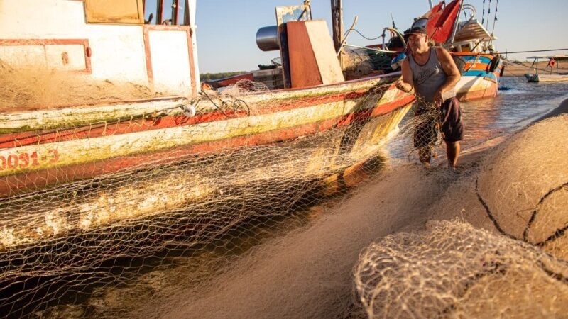 Secretaria de Pesca e Aquicultura de SJB reforça chamamento para realização do Raep