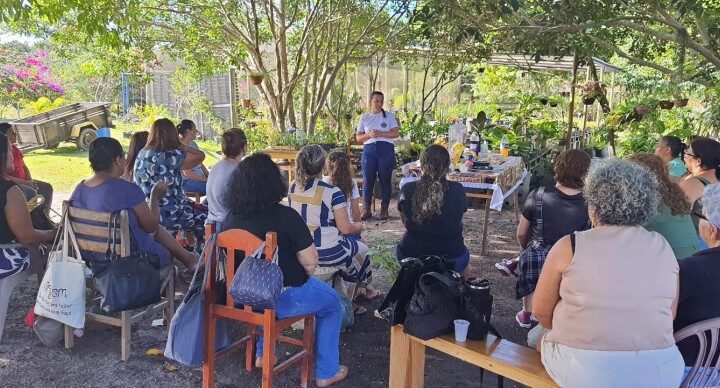 Artesãs de SJB participam de oficinas na Estufa Folhinha