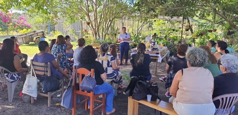 Artesãs de SJB participam de oficinas na Estufa Folhinha