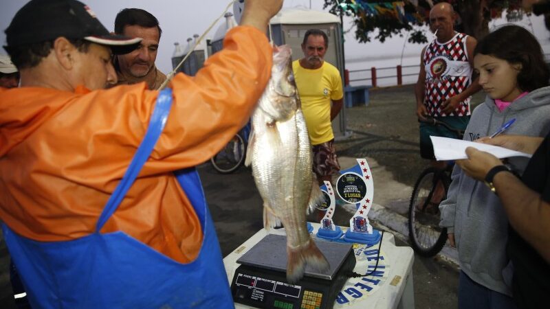 Pesca do Maior Robalo Vivo realizada em SJB