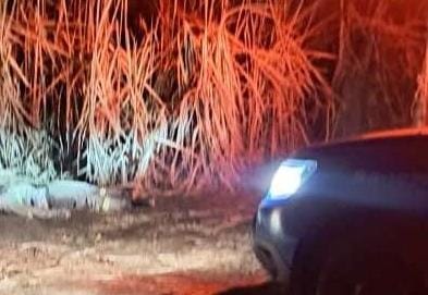 Corpo é encontrado em avançado estado de decomposição em área de canavial em SJB