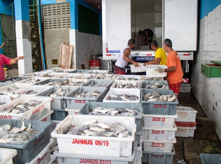 Transporte gratuito de produção beneficia pescadores em SJB