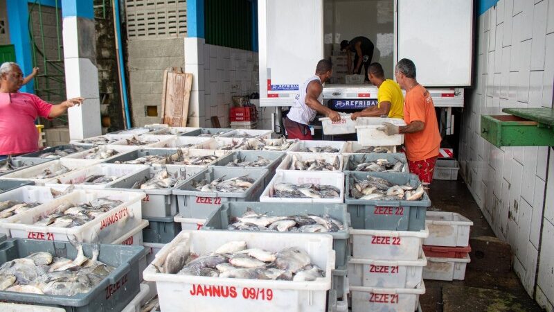 Transporte gratuito de produção beneficia pescadores em SJB