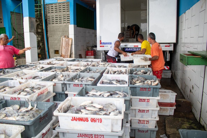 Transporte gratuito de produção beneficia pescadores em SJB