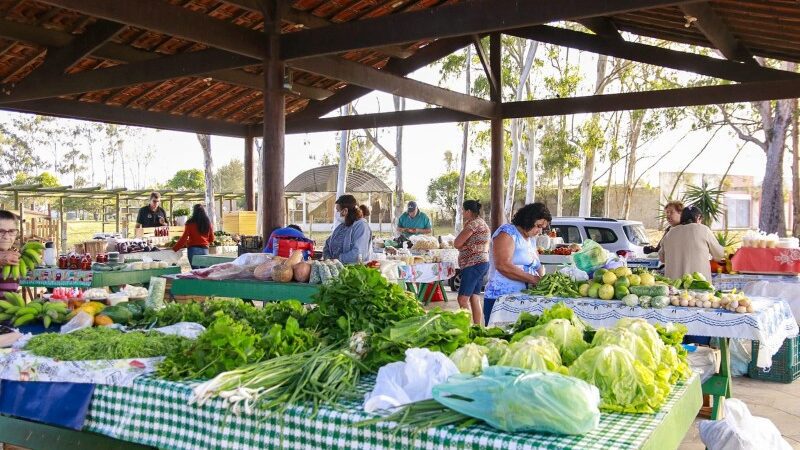 Feira da Roça de SJB com vagas para novos agricultores