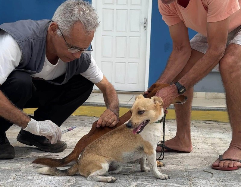 NCZ faz balanço da vacinação antirrábica de cães e gatos em SJB